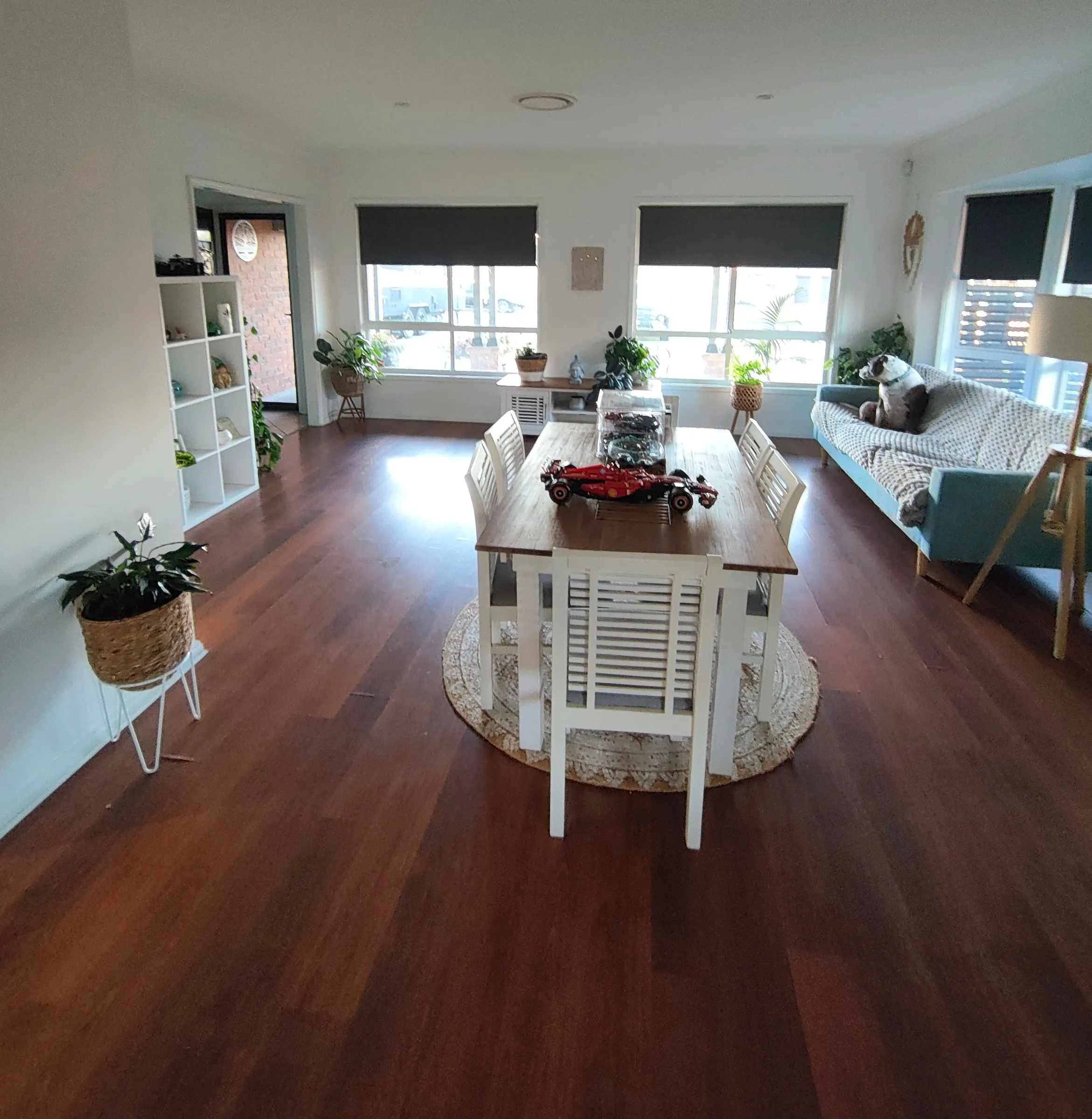 Open dining and living room with polished timber floors after cleaning